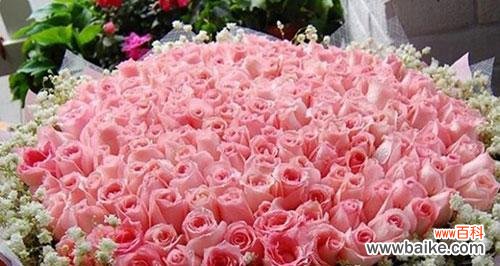 了解玫瑰花语，送花更得心应手 玫瑰花语大全——多少朵代表什么？