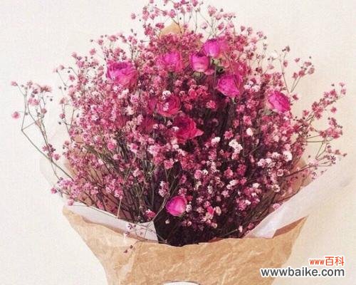 满天星花的浓情蜜意与红颜色的花语 满天星红颜色花语之美丽的爱情之花