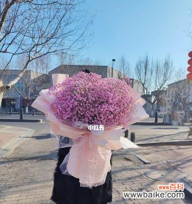 寻找无尽的希望与勇气 满天星的象征及寓意