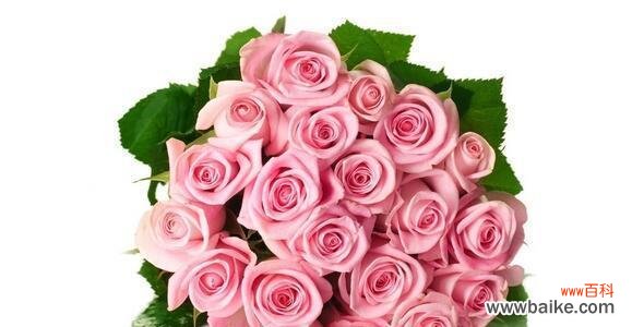 深入探索玫瑰花语,传达你的情感 解读各种颜色玫瑰花语