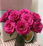 探寻玫瑰花背后的情感和文化内涵 玫瑰花的寓意与象征意义