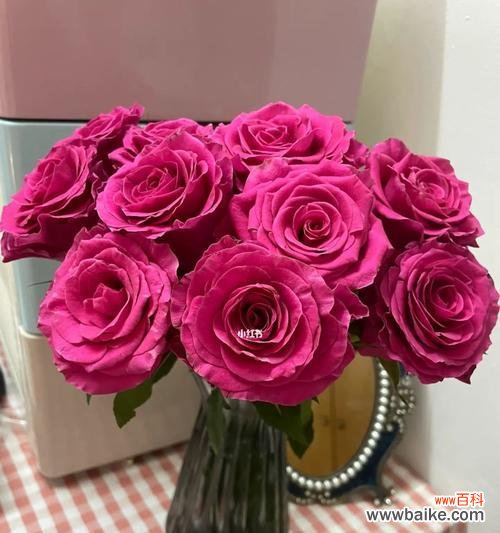 探寻玫瑰花背后的情感和文化内涵 玫瑰花的寓意与象征意义