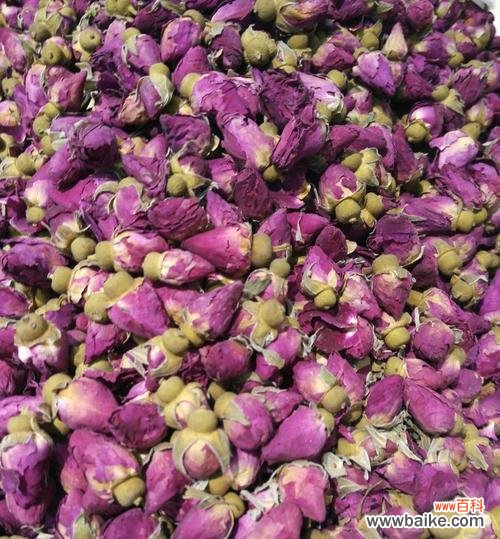 美丽花朵的绿色力量 玫瑰对环境的益处