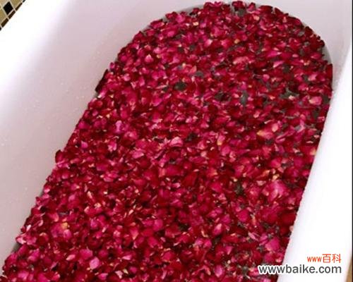 揭示玫瑰花瓣背后的深层寓意 玫瑰花瓣的含义与象征