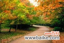 云南昆明植物园