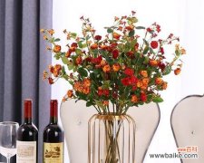 餐桌上摆放哪种花寓意吉祥？常见花卉的象征意义是什么？