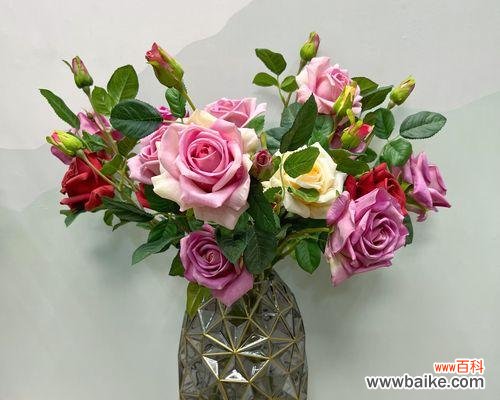 单枝蓝玫瑰花代表什么？购买时需要注意什么？