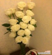 探寻白色玫瑰的神秘语言 白色玫瑰花语