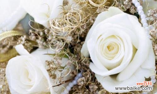 探寻白色玫瑰的神秘语言 白色玫瑰花语