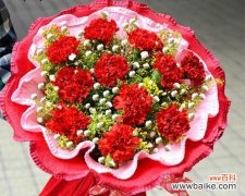 解读康乃馨的8个含义 康乃馨花的象征意义