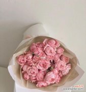 探索蜜桃玫瑰的内涵及其在文化中的重要地位 蜜桃玫瑰的寓意与象征