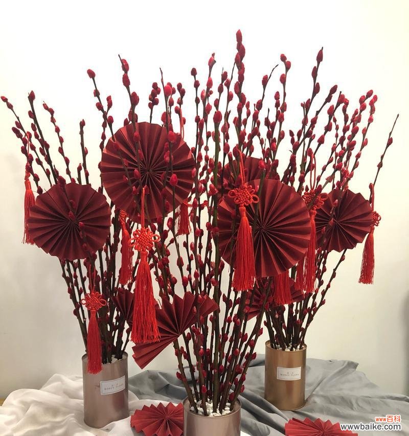 银柳象征着什么？过年时银柳的寓意有哪些常见问题？