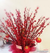 银柳象征着什么？过年时银柳的寓意有哪些常见问题？