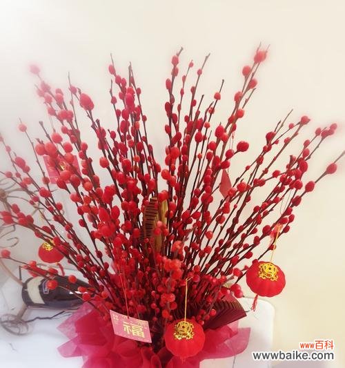 银柳象征着什么？过年时银柳的寓意有哪些常见问题？