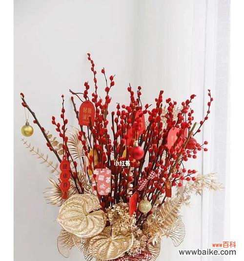 银柳象征着什么？过年时银柳的寓意有哪些常见问题？