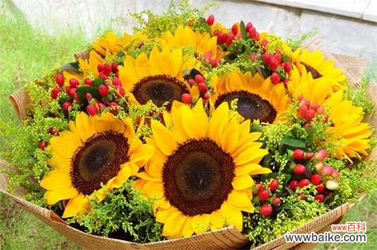 向日葵花语：送给恋人表达自己爱的忠诚