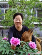 以牡丹花开寓意的深刻内涵与传承 牡丹花开，象征繁荣昌盛