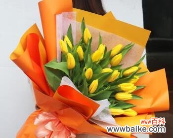 用几朵郁金香表达心意,究竟代表什么? 送几朵郁金香的意义