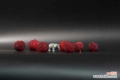 杨梅腌渍的方法，其他吃法有哪些