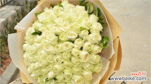 探究白玫瑰所象征的情感与意义 白玫瑰花语的含义