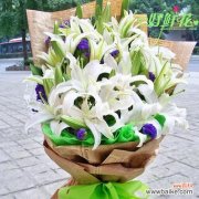 探究白色百合花语的精髓，从中获得生命启示 白色百合花语的深刻含义