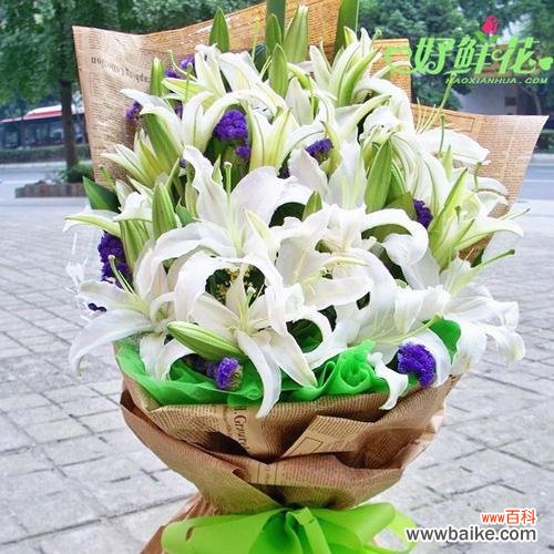 探究白色百合花语的精髓，从中获得生命启示 白色百合花语的深刻含义