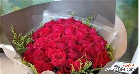 表达真爱的浪漫之选 33朵玫瑰花的花语