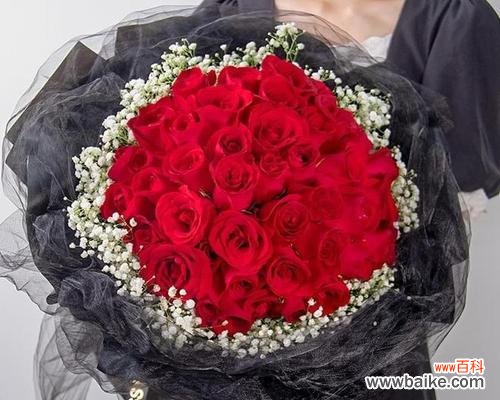 表达真爱的浪漫之选 33朵玫瑰花的花语