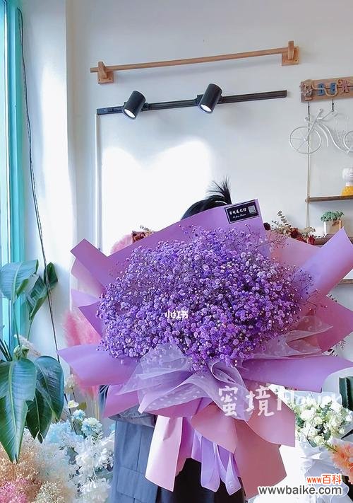 解读花语，品味生活之美 紫色满天星的花语