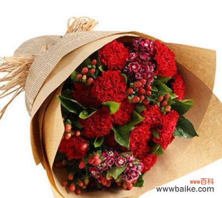 表达热情和爱意的象征 红色康乃馨的花语和寓意