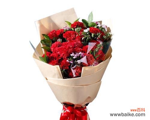 表达热情和爱意的象征 红色康乃馨的花语和寓意