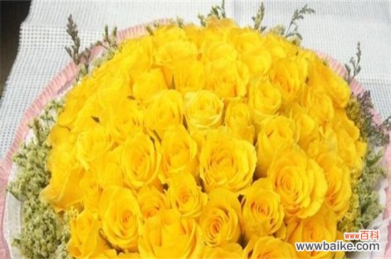 黄玫瑰花语：爱道歉