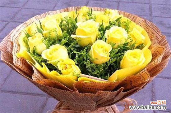 黄玫瑰花语：爱道歉