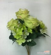 揭秘小菊花背后的日系绿色心灵 小菊花语