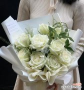 探究白玫瑰在不同场合的象征意义 一束白玫瑰的意义