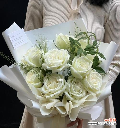 探究白玫瑰在不同场合的象征意义 一束白玫瑰的意义