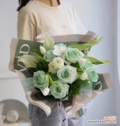 探究绿色花朵的神秘含义 绿玫瑰的花语