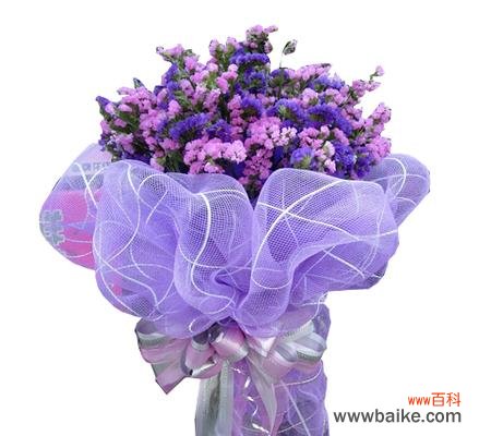 探寻紫色马蹄莲的内涵与价值 紫色马蹄莲花语