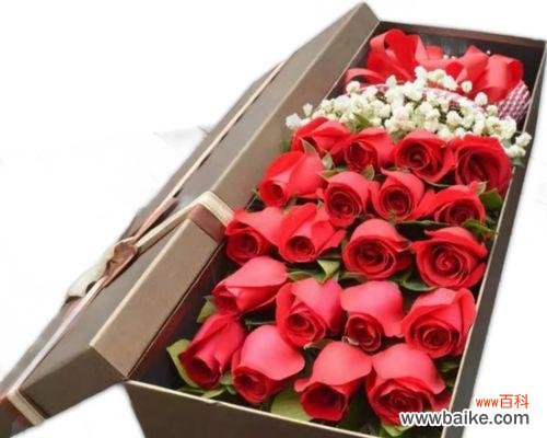 情意绵绵，十九朵花语详解 传递爱情的花语——十九朵红玫瑰