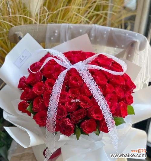 情意绵绵，十九朵花语详解 传递爱情的花语——十九朵红玫瑰