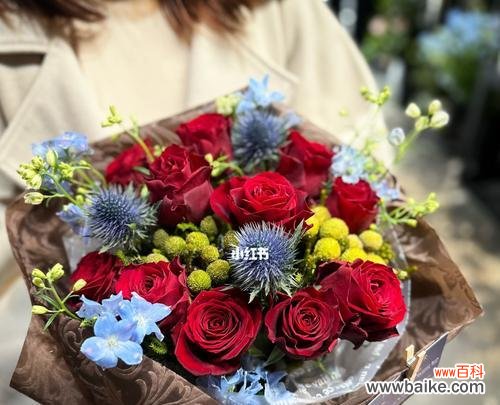 解读11朵玫瑰的意义，了解花语语言 11朵玫瑰的寓意与含义