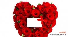 探究玫瑰花的象征意义及文化背景 送玫瑰花的寓意