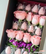 花语文化中的经典代表 十二朵玫瑰的寓意