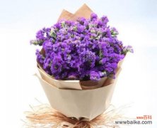 永恒不忘的爱、纪念逝去的亲友 勿忘我花的含义及象征意义