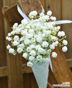 探寻这朵小花的独特之处 满天星的花语与象征意义