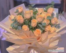 传递优雅与祝福的精神 香槟玫瑰花的含义