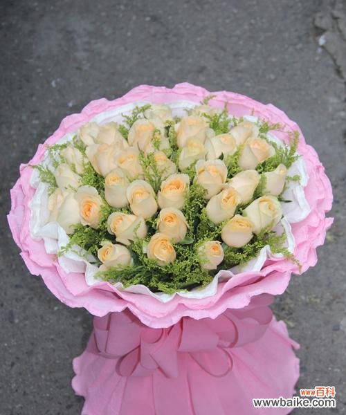 传递优雅与祝福的精神 香槟玫瑰花的含义