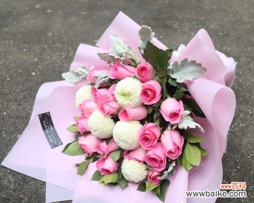 唤醒内心力量 苏醒玫瑰