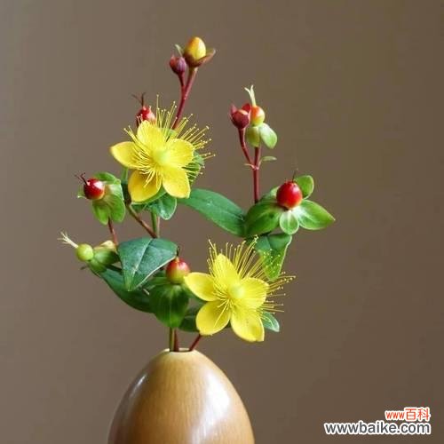 插花作品名称寓意是什么？如何理解各种花语？