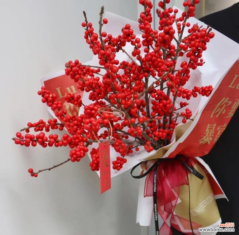 探寻冬青树的深层寓意 冬青树的花语